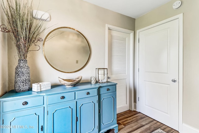 bathroom with hardwood / wood-style floors and vanity