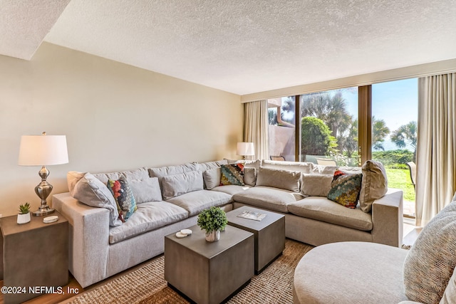 living room with a textured ceiling