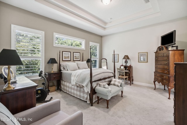 carpeted bedroom featuring a raised ceiling