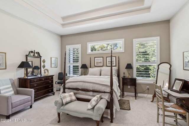 carpeted bedroom featuring a tray ceiling