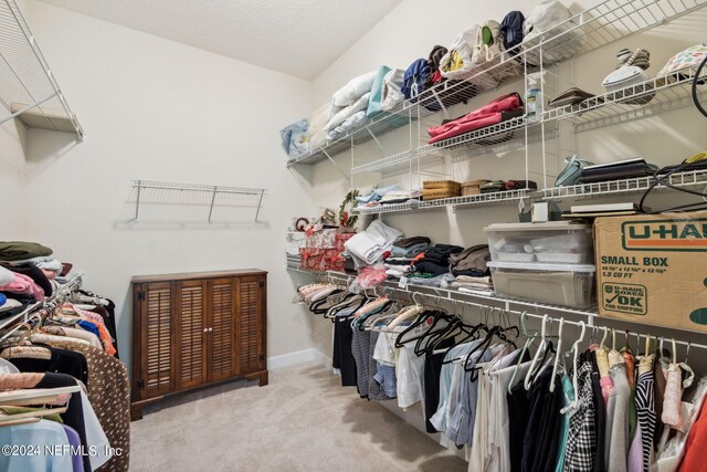 spacious closet featuring light carpet