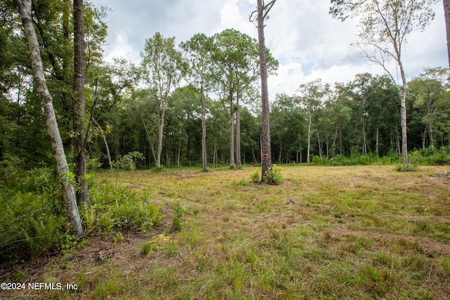 Listing photo 3 for 00 Jones Creek Rd, Keystone Heights FL 32656