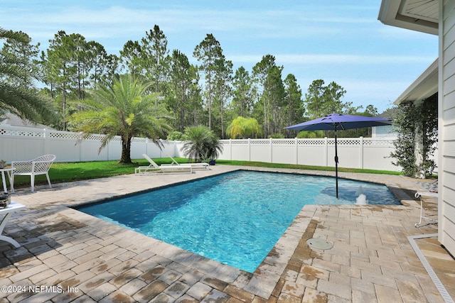 view of swimming pool with a patio area