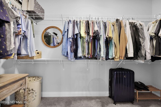 spacious closet with carpet flooring and radiator