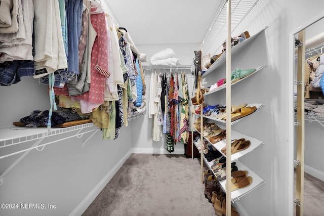 spacious closet featuring carpet flooring