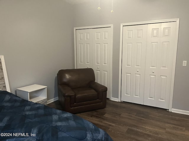 bedroom with dark wood-type flooring and multiple closets