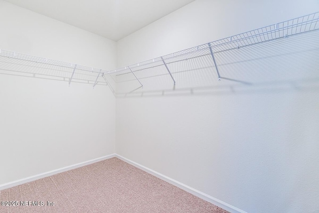 spacious closet with carpet flooring