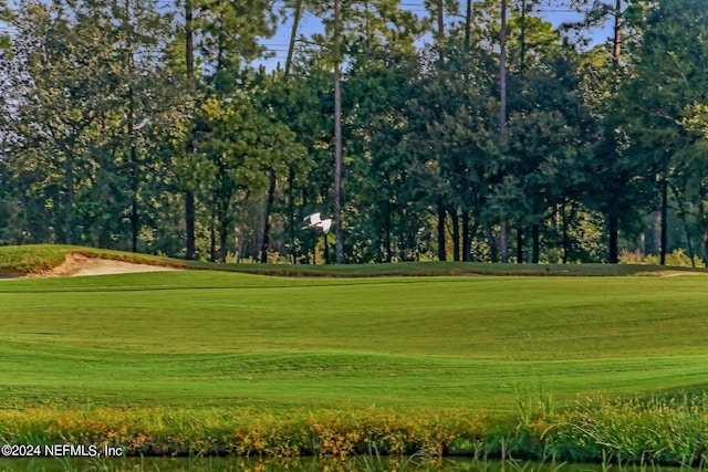 view of property's community featuring a lawn