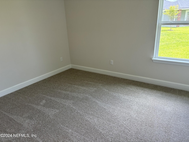 spare room with carpet floors