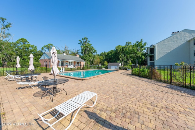 view of pool with a patio area and a shed