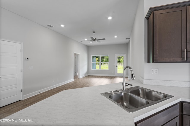 kitchen featuring ceiling fan, dark brown cabinetry, dark hardwood / wood-style floors, and sink