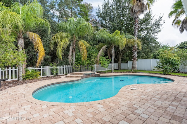 view of pool featuring a patio