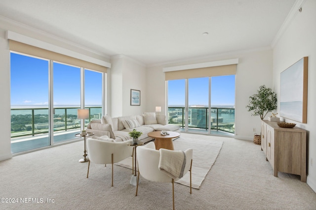 living room featuring plenty of natural light, carpet flooring, and crown molding