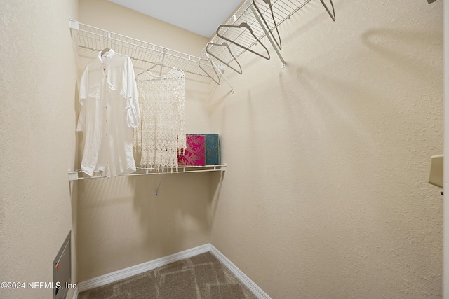 walk in closet with carpet flooring