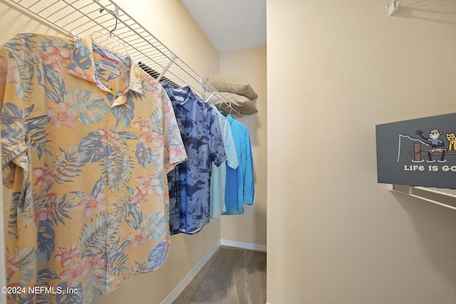 walk in closet featuring carpet floors