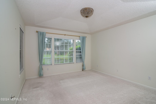 carpeted spare room with a textured ceiling and a raised ceiling