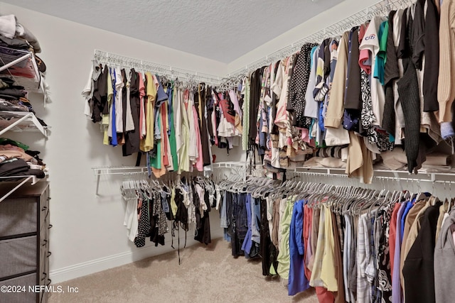 walk in closet featuring carpet