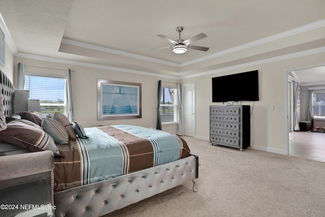 carpeted bedroom with ornamental molding, a raised ceiling, and multiple windows