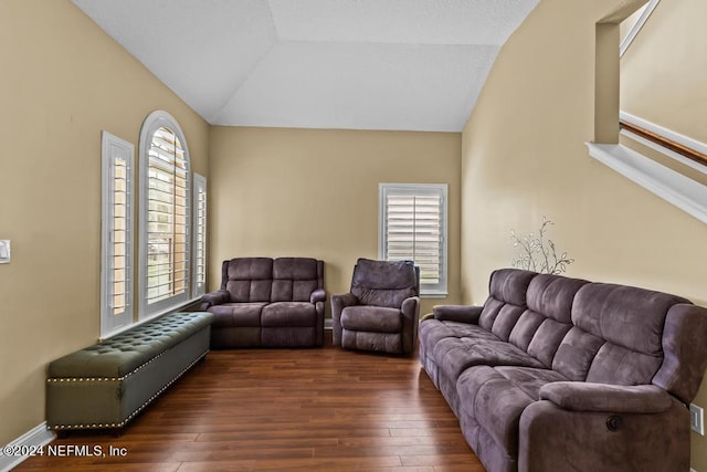 living room with lofted ceiling and dark hardwood / wood-style floors