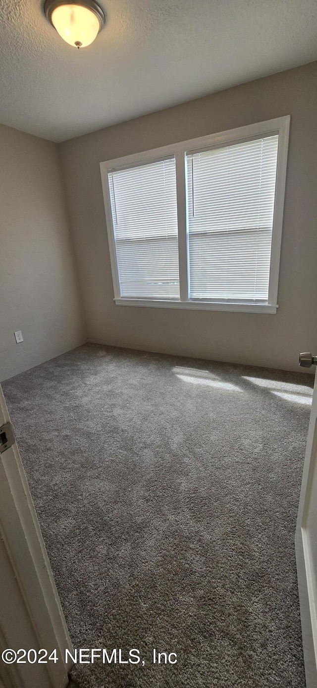 carpeted spare room with a textured ceiling