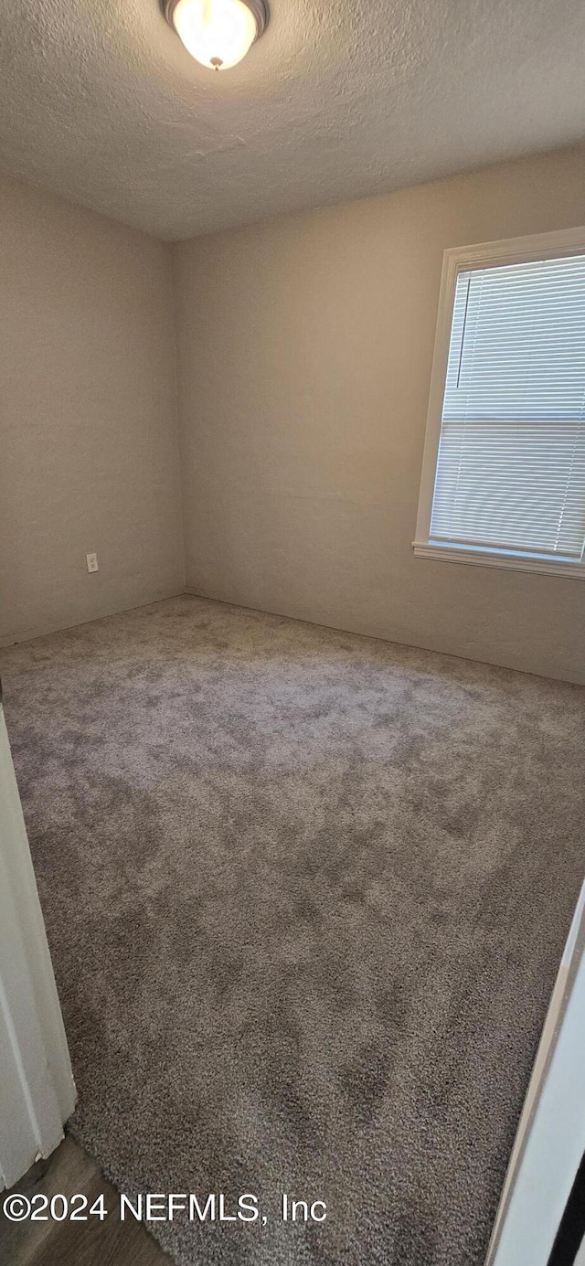 empty room featuring a textured ceiling and carpet floors