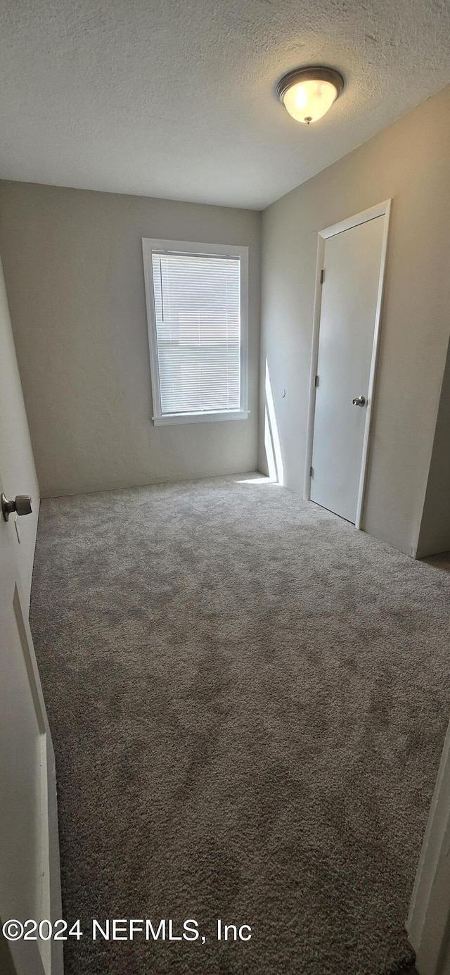 spare room featuring carpet floors and a textured ceiling