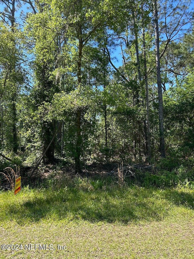 LOT33 Rhonda Ave, Interlachen FL, 32148 land for sale