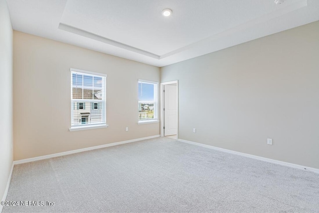 carpeted spare room featuring a raised ceiling