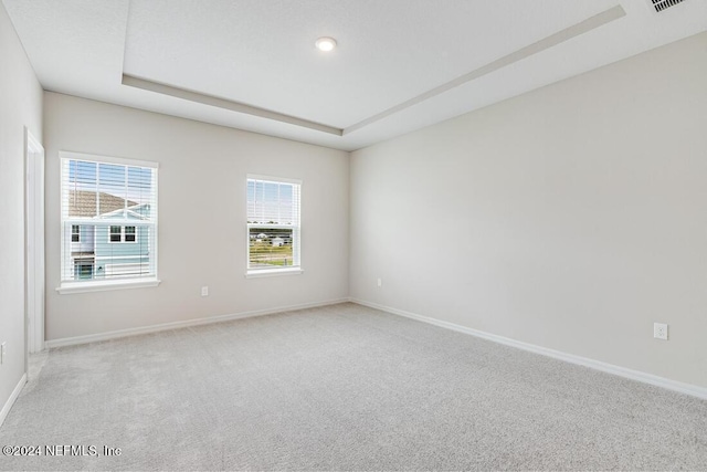 empty room with light colored carpet, a healthy amount of sunlight, and a raised ceiling