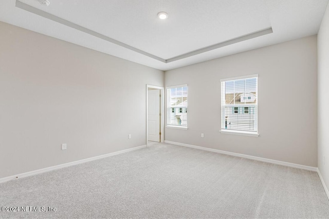 empty room featuring light carpet and a raised ceiling