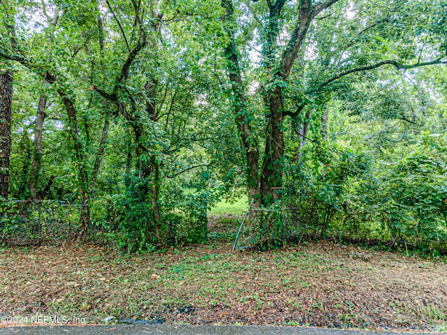 0 Detroit St, Jacksonville, FL 32254 - photo 1