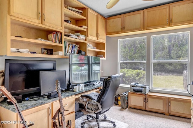 office area featuring light colored carpet