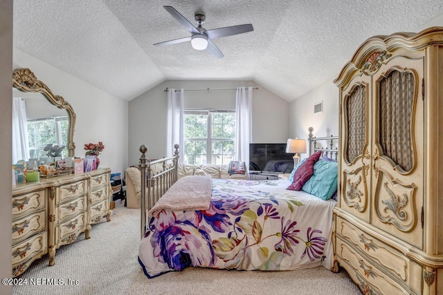 carpeted bedroom with multiple windows, vaulted ceiling, and a textured ceiling