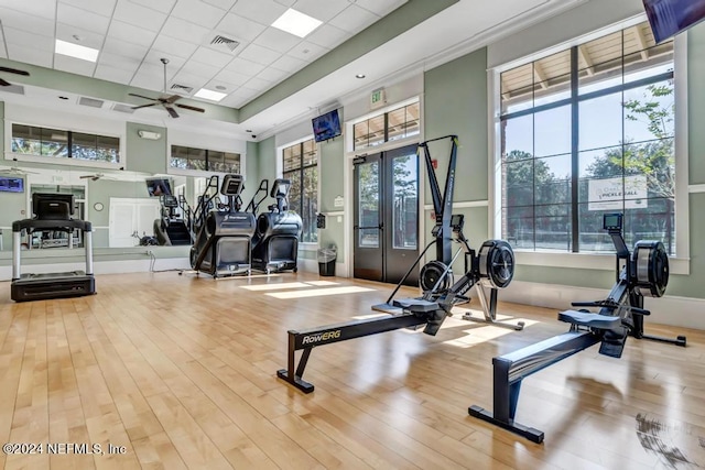 workout area with hardwood / wood-style flooring, ceiling fan, plenty of natural light, and a tray ceiling