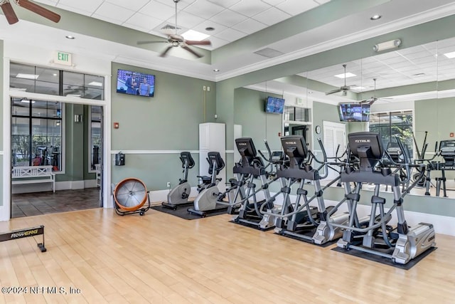 gym featuring hardwood / wood-style floors, ornamental molding, ceiling fan, a raised ceiling, and a drop ceiling