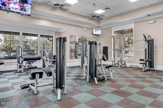 workout area with crown molding, ceiling fan, a tray ceiling, and a drop ceiling