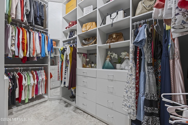 view of spacious closet