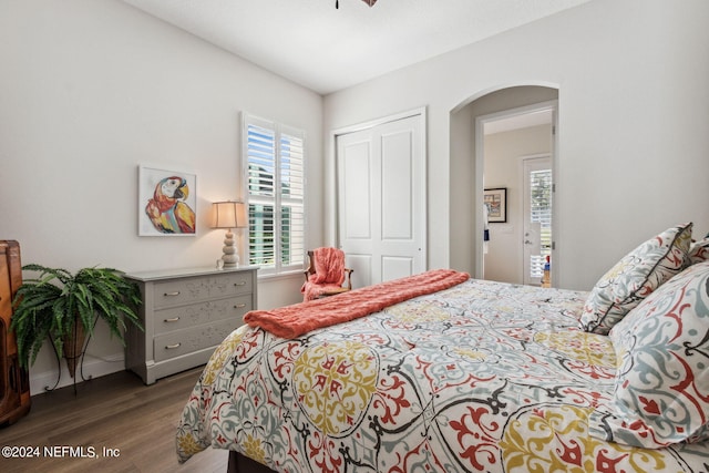 bedroom featuring wood-type flooring and a closet