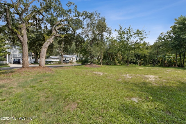 740 Sherry Dr, Atlantic Beach, FL 32233 - view of yard