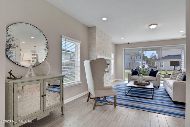 living room featuring hardwood / wood-style flooring and a stone fireplace