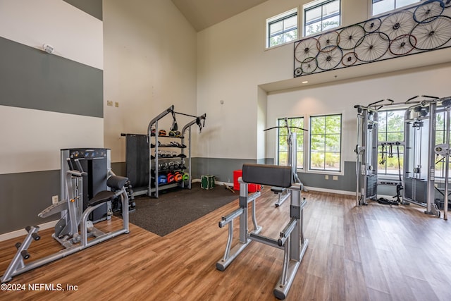 exercise room with a wealth of natural light, wood-type flooring, and a high ceiling