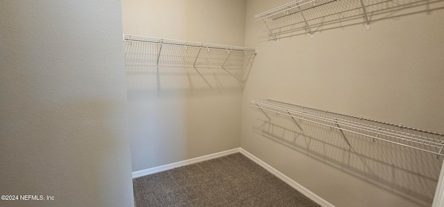 walk in closet with carpet flooring