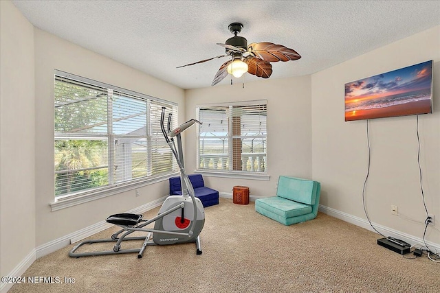 exercise room with a ceiling fan, carpet flooring, a textured ceiling, and baseboards