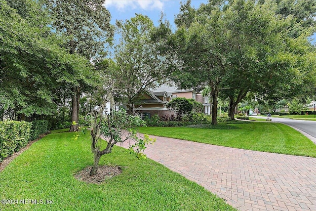 exterior space with a lawn