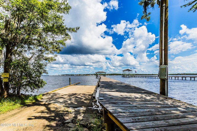 dock area with a water view