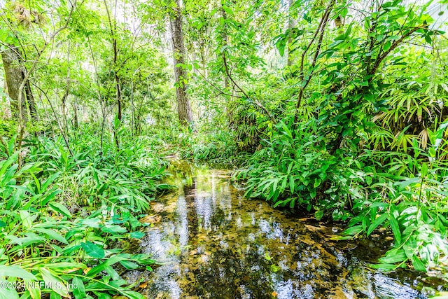 view of local wilderness with a water view