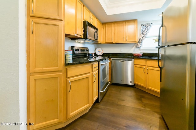 kitchen with a raised ceiling, appliances with stainless steel finishes, dark wood-type flooring, and ornamental molding