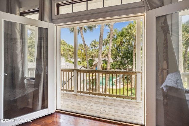 entryway featuring dark wood-type flooring and a wealth of natural light