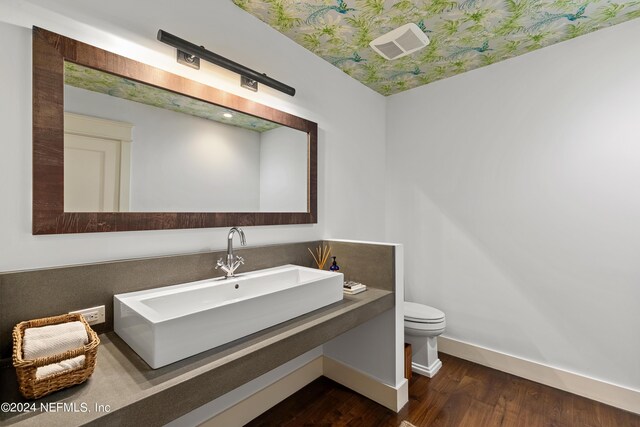 bathroom featuring vanity, toilet, and wood-type flooring