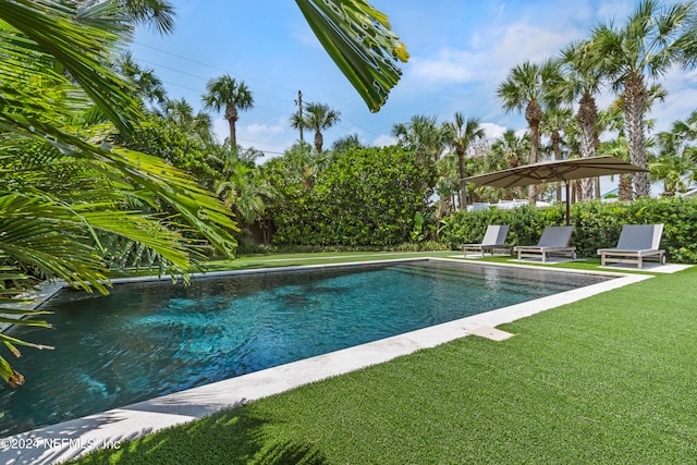 view of swimming pool featuring a lawn and a patio